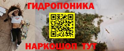 ALPHA-PVP Бийск